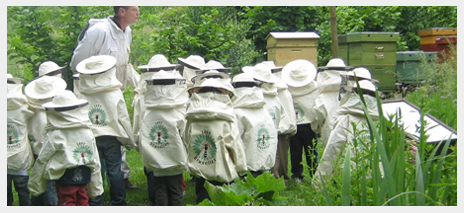 thumbnail - Vareuses et gants d'apiculture à emprunter